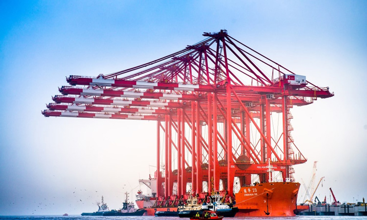 Ship-to-shore gantry crane fleet at a port